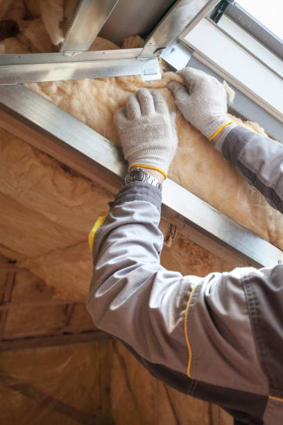 Best Commercial Insulation in Dadeville, AL