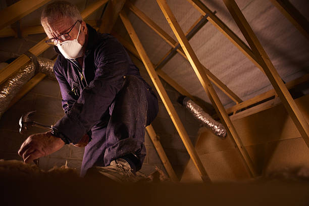 Best Insulation Maintenance and Repair in Dadeville, AL